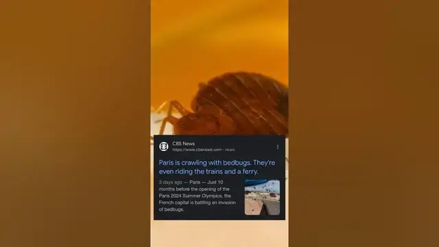 'Video thumbnail for Bed Bug Crisis | खटमल से परेशान Paris | #shorts'