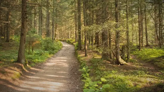 'Video thumbnail for 8 Essential Breathing Tips for New Runners'