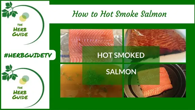 'Video thumbnail for How to Make Hot Smoked Salmon|Nordic Stove Top Smoker'