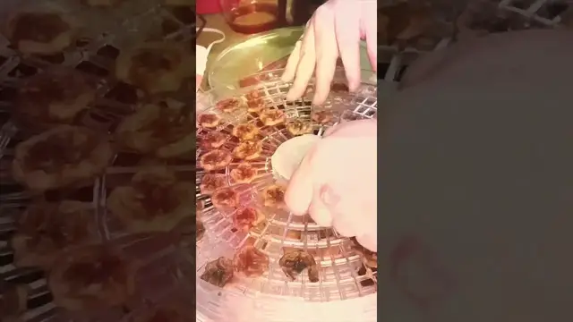 'Video thumbnail for Dehydrating Fruit 2 #shorts'