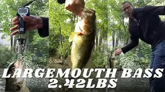 'Video thumbnail for Charles River - Largemouth Bass Fishing - 2022 PB'
