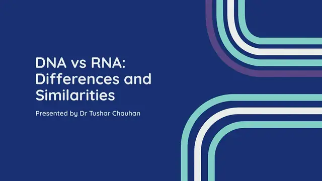 'Video thumbnail for DNA vs RNA: Differences and Similarities.'