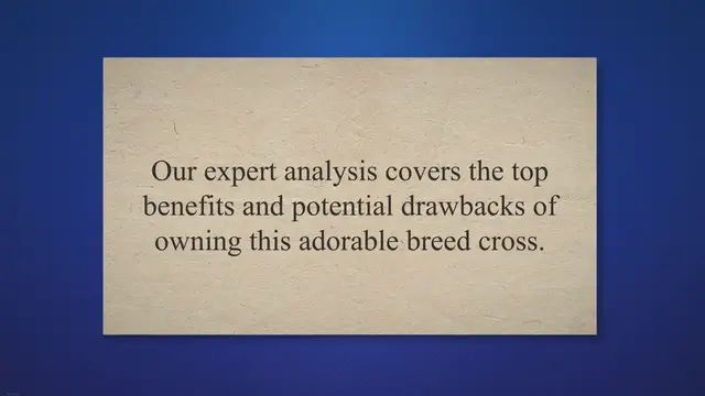 'Video thumbnail for Pros and Cons of Owning a Beagle Mixed Puppy'