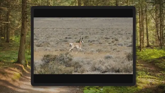 'Video thumbnail for How To Go Antelope Hunting In Wyoming'