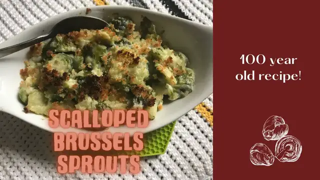 'Video thumbnail for Scalloped Brussel sprouts recipe - 100 year old recipe'
