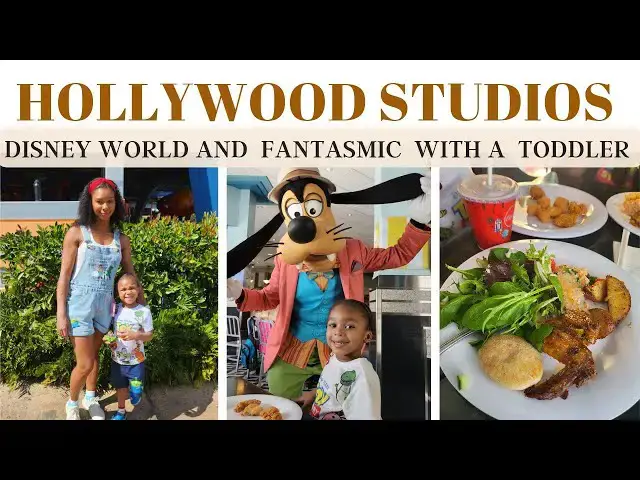 'Video thumbnail for Disney World Vlog 2023: Hollywood Studios & Fantasmic Dinning Package'
