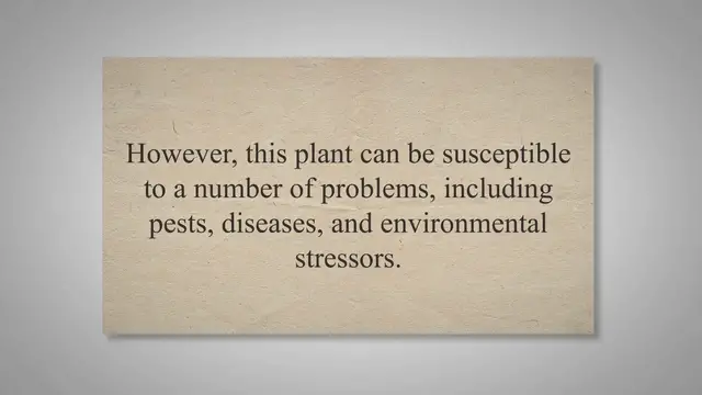 'Video thumbnail for Why Is My Virginia Creeper Dying: Unraveling the Mysteries'