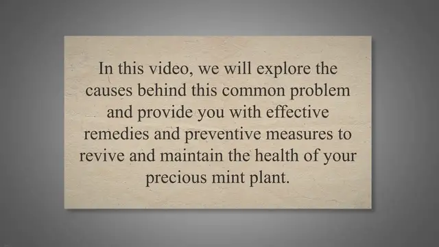 'Video thumbnail for Reviving Your Wilting Mint Plant: Understanding the Causes, Remedies, and Preventive Measures'