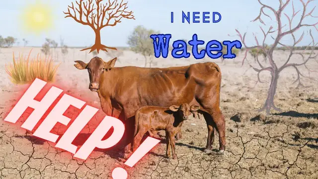 'Video thumbnail for Global Warming burning our earth #dailyvlog #environment'