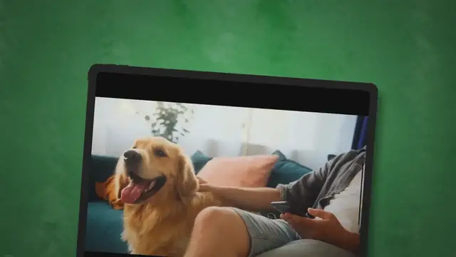 'Video thumbnail for Golden Retriever Sanitary Trim: What It Is and Why You Need It'