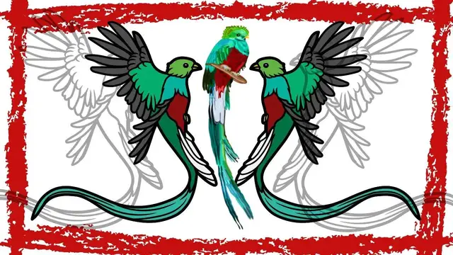 'Video thumbnail for Resplendent Quetzal (Pharomachrus Mocinno) Video | Resplendent Quetzal Sound & Call'