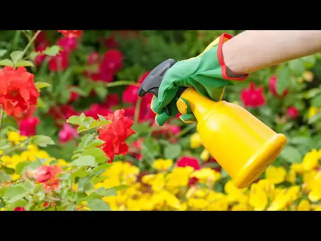 'Video thumbnail for 7 Reasons Why Avoiding Pesticides Can Improve Your Garden'