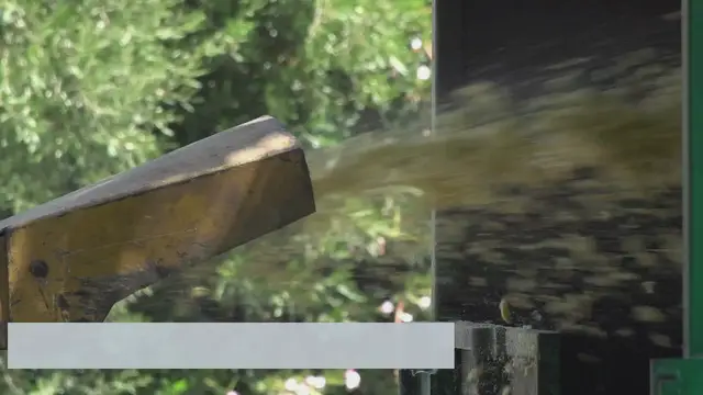 'Video thumbnail for How do garden shredders work?'
