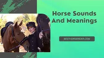 'Video thumbnail for Horse Sounds And Meanings'