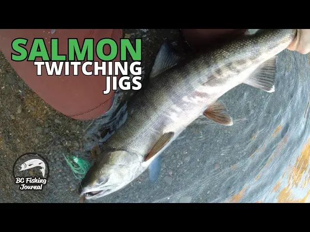 'Video thumbnail for Twitching Jigs for SALMON and UNDERWATER video'