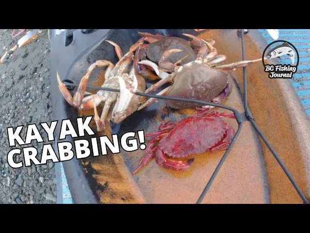 'Video thumbnail for Kayak CRABBING 🦀 Pacific Northwest Crabbing'