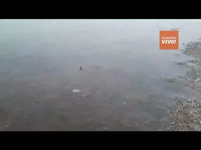 'Video thumbnail for El frío extremo congeló el río en Mayú Sumaj'