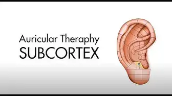 'Video thumbnail for Where To Place Ear Seeds For Anxiety?'