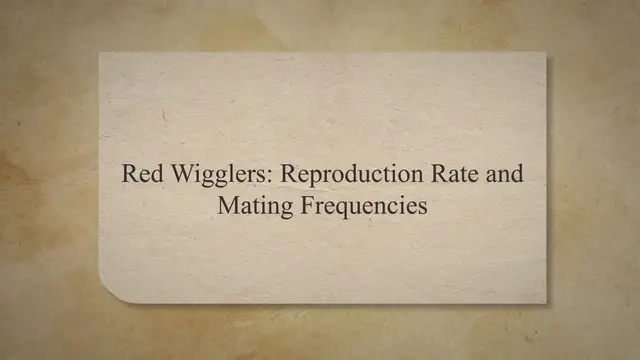 'Video thumbnail for Red Wigglers: Reproduction Rate and Mating Frequencies'