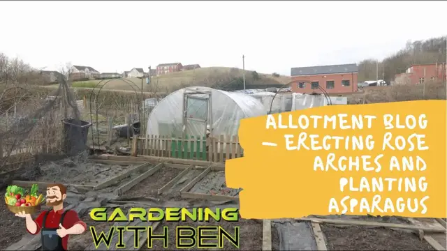 'Video thumbnail for Allotment Blog Building a Rose Arch and Planting Asparagus'