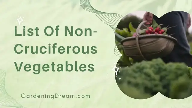 'Video thumbnail for List Of Non Cruciferous Vegetables'