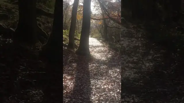 'Video thumbnail for Walking the Four Falls Trail in the Brecon Beacons #shorts'