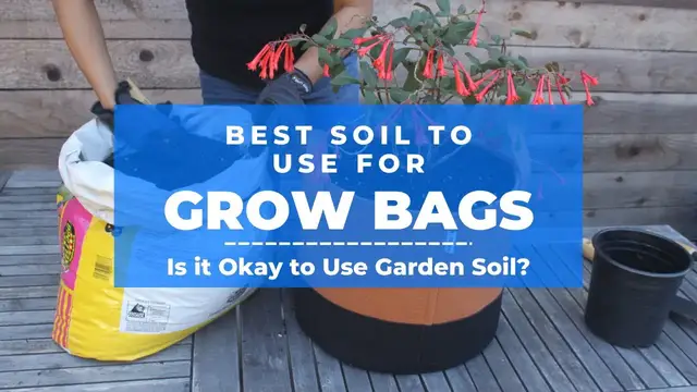 'Video thumbnail for Best Soil for Grow Bags - is it okay to use garden soil?'