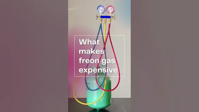 'Video thumbnail for R12 price per pound #shorts'