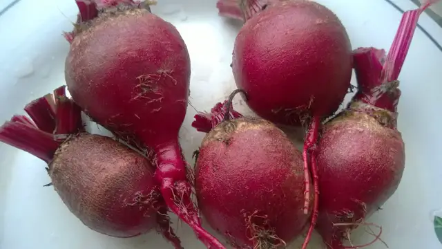 'Video thumbnail for When Is The Best Time To Harvest Beets?'