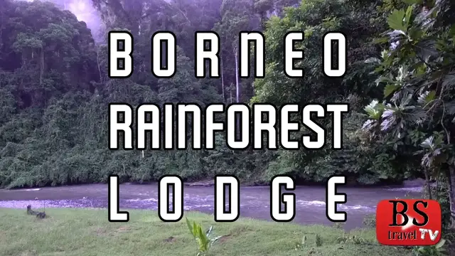 'Video thumbnail for S2 E8: EVERYTHING in the rainforest is SUPERSIZED! Borneo Rainforest Lodge, Malaysia Travel Guide'