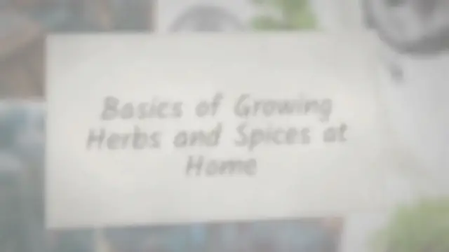 'Video thumbnail for Basics of growing herbs and spices at home'