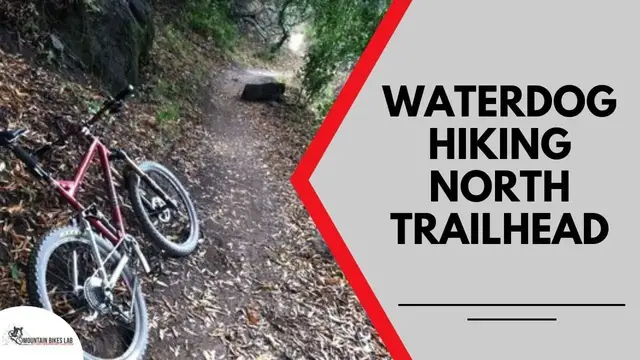 'Video thumbnail for Waterdog Hiking North Trailhead'