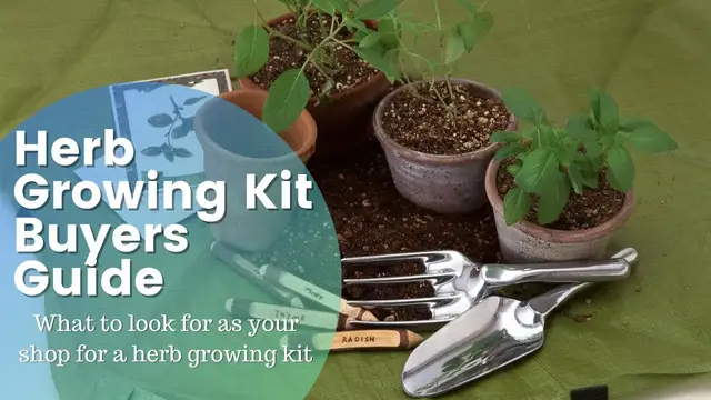 'Video thumbnail for Herb Growing Kit Buyer's Guide'