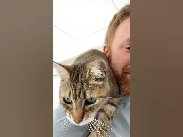 'Video thumbnail for A quick check in with my shoulder cat'