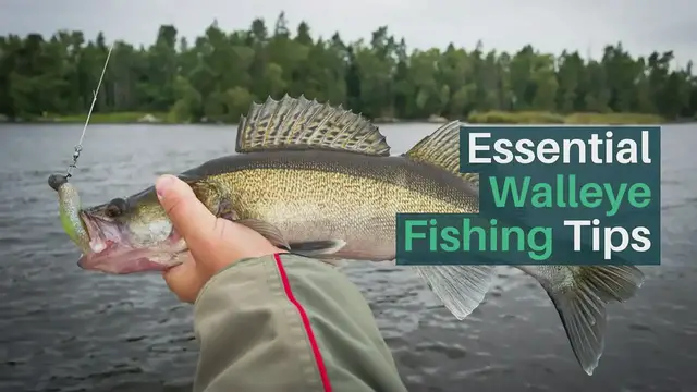 'Video thumbnail for Walleye Fishing Tips'