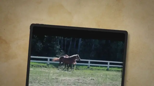 'Video thumbnail for What Does Running A Horse To Death Mean?'