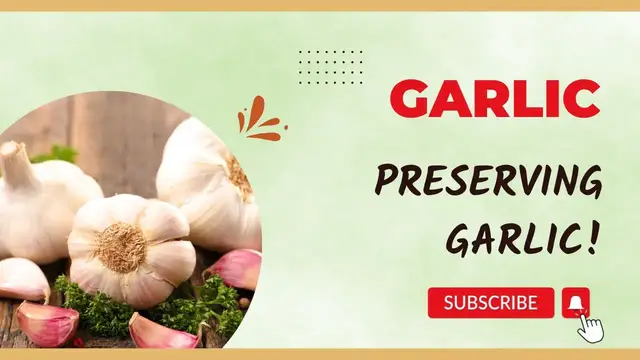 'Video thumbnail for Preserving Garlic //  Jeni Gough'