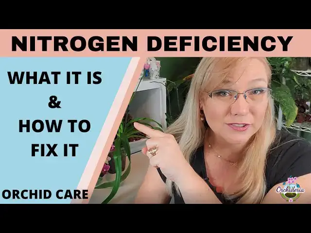 'Video thumbnail for Nitrogen Deficiency: Is Your Orchid Struggling to Bloom?'