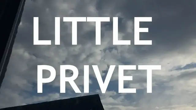 'Video thumbnail for Little Privet Bonsai, from cutting, 1'