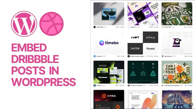 'Video thumbnail for How To Embed Dribbble Posts and Shots in WordPress For Free_ Without Plugins)'