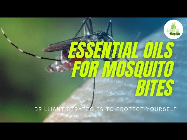'Video thumbnail for Essential oils for mosquito bites - Brilliant Strategies To Protect Yourself'