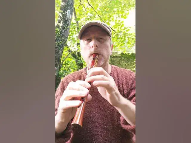 'Video thumbnail for Irish Polka on Descant Recorder'