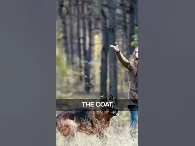 'Video thumbnail for A good brushing routine starts with the right tools'