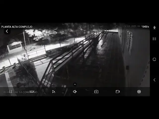 'Video thumbnail for Descargaron un camión lleno de verdura podrida en el Diquecito'