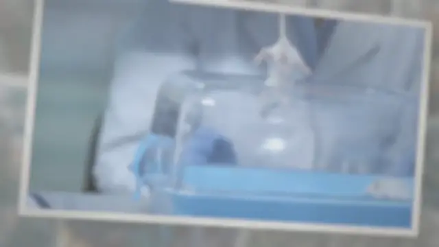 'Video thumbnail for Do Rats Really Make Good Pets?'