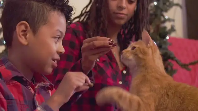 'Video thumbnail for Can I Talk to My Cat_'