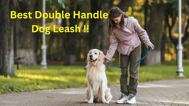'Video thumbnail for best double handle dog leash for your furry puppy'