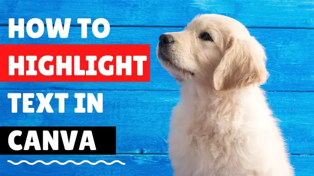 'Video thumbnail for How To Highlight Text In Canva In 5 Steps [2021] - Step by step process'