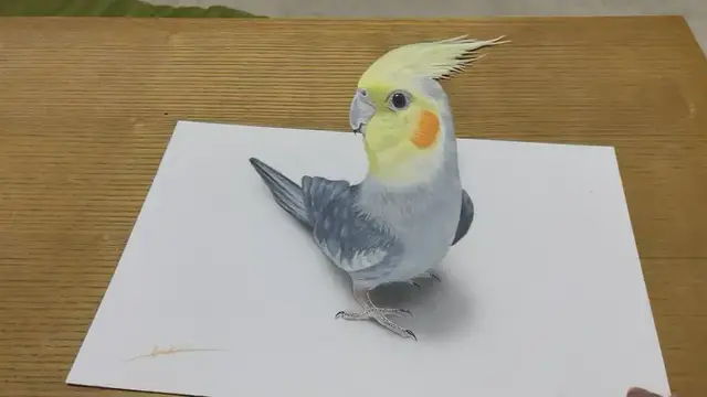 'Video thumbnail for Drawing of a parrot'