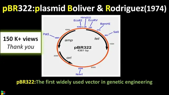 'Video thumbnail for pBR322 Gene Cloning Vector Explained'